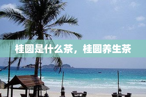 桂圓是什么茶，桂圓養生茶